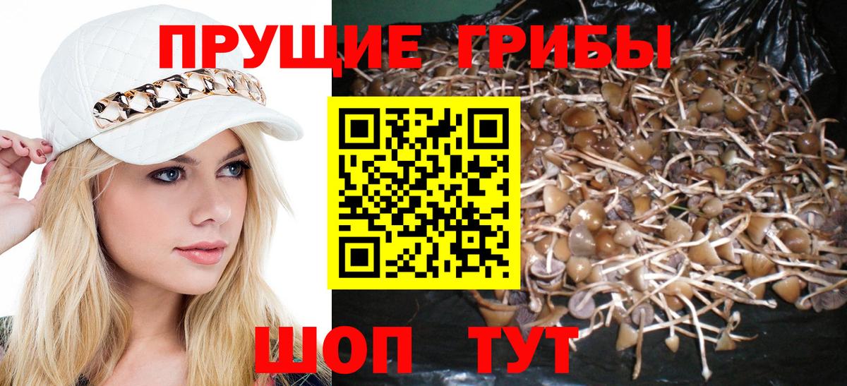 Галлюциногенные грибы прущие грибы  Вход с VPN  Унеча 